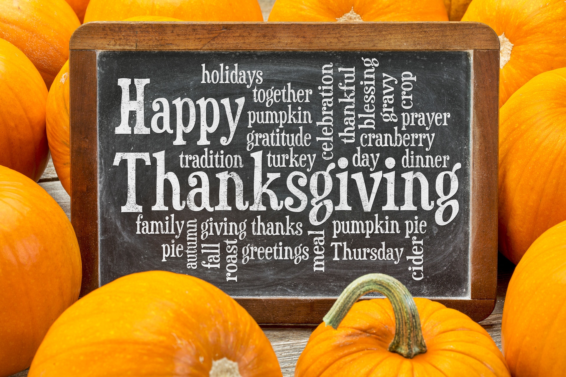 Happy Thanksgiving from Brian Houdek Web Design